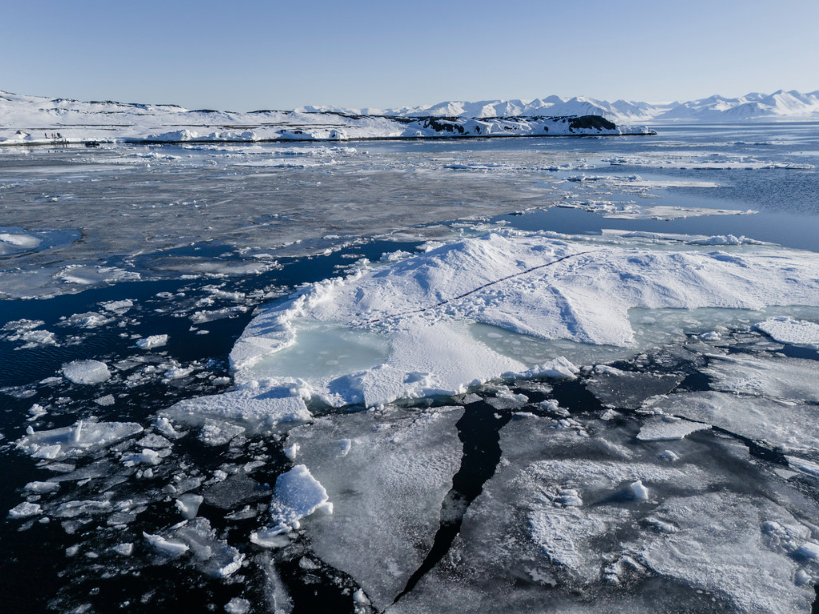 Polar Direction
